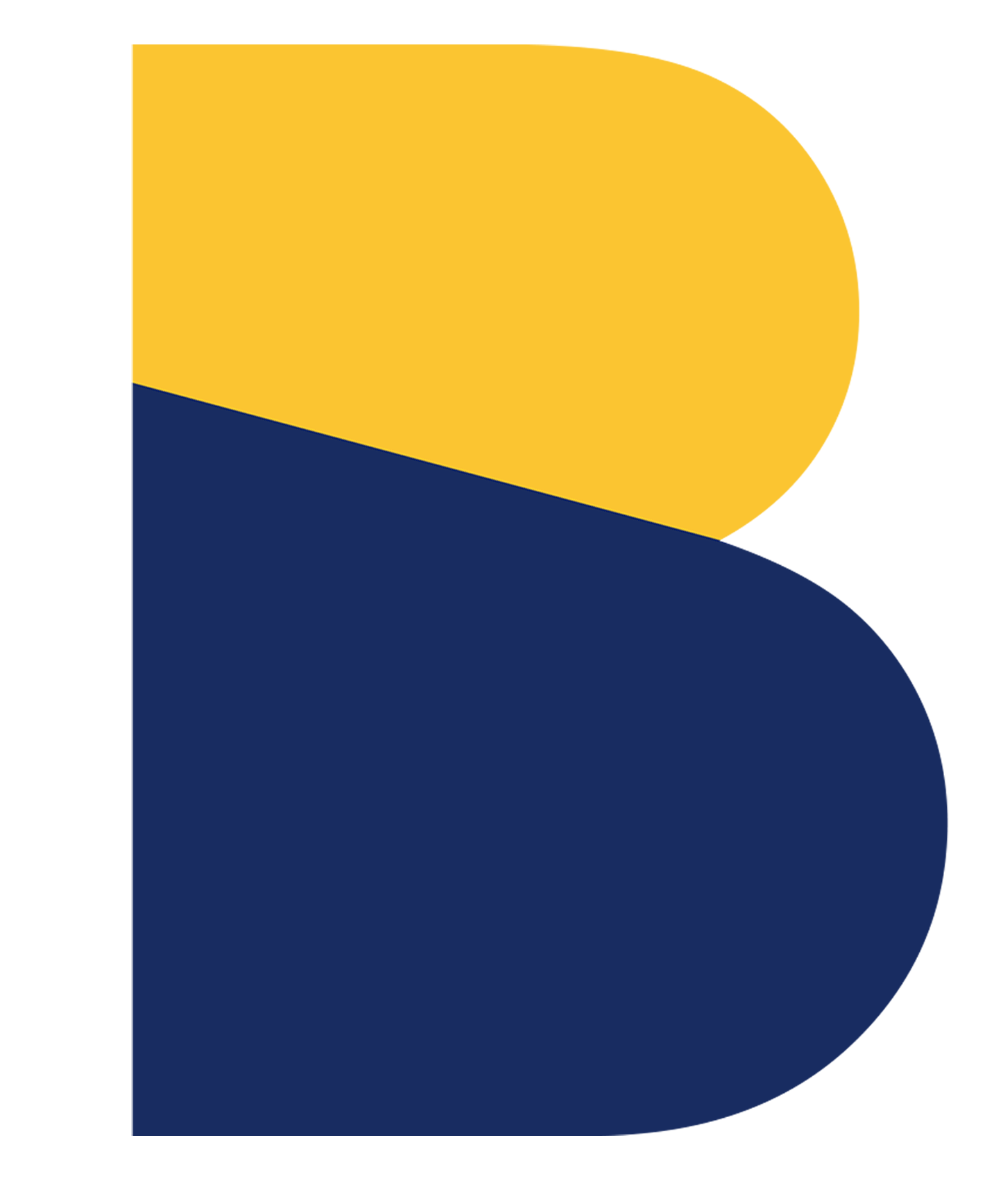 BIGS Logo